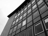 Bild "P3186379-3.jpg"