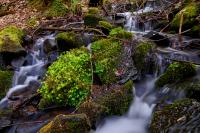 Bild "FocusStack-cl1-klein.jpg"