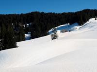 Bild "P2270155-cl1-klein.jpg"