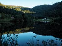 Bild "PA050209-cl1-klein.jpg"