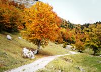 Bild "PA060239-cl1.jpg"