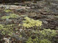 Bild "P8110437.jpg"