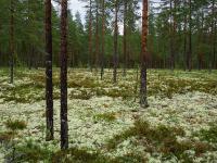 Bild "P8150599.jpg"