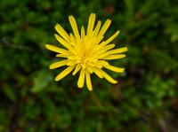 Bild "P7200280.jpg"