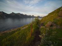 Bild "P7250558.jpg"