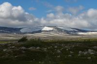 Bild "P7290679.jpg"
