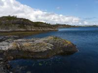 Bild "P7310713.jpg"