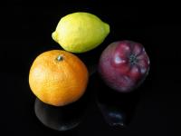 Bild "FocusStacking-klein.jpg"
