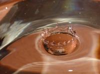 Bild "P8260084-klein.jpg"